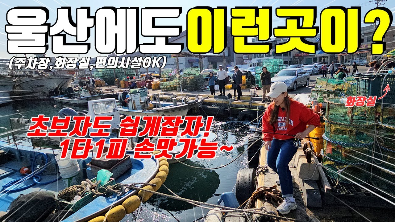 낚시하기 좋은 울산 생활낚시 포인트! 원투낚시부터 찌낚시까지 초보자도 손맛가능한 이곳을 소개합니다!
