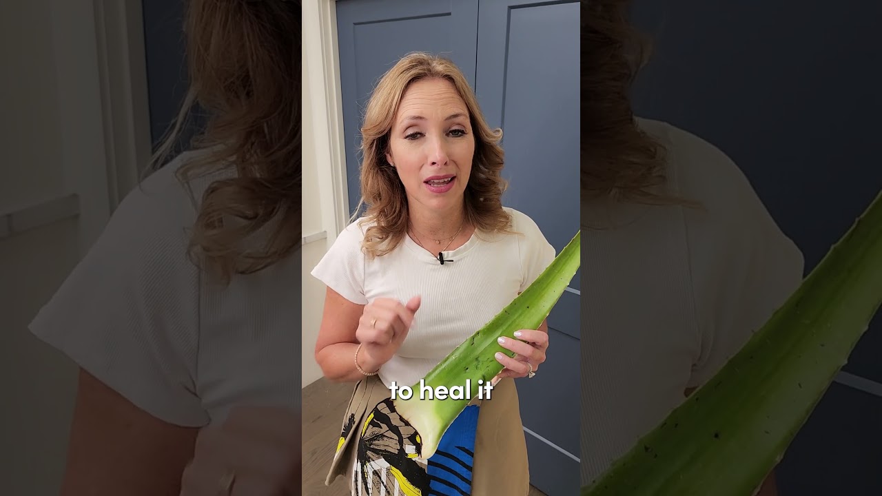 Aloe Benefits Your Dr. Didn&rsquo;t Tell You #shorts