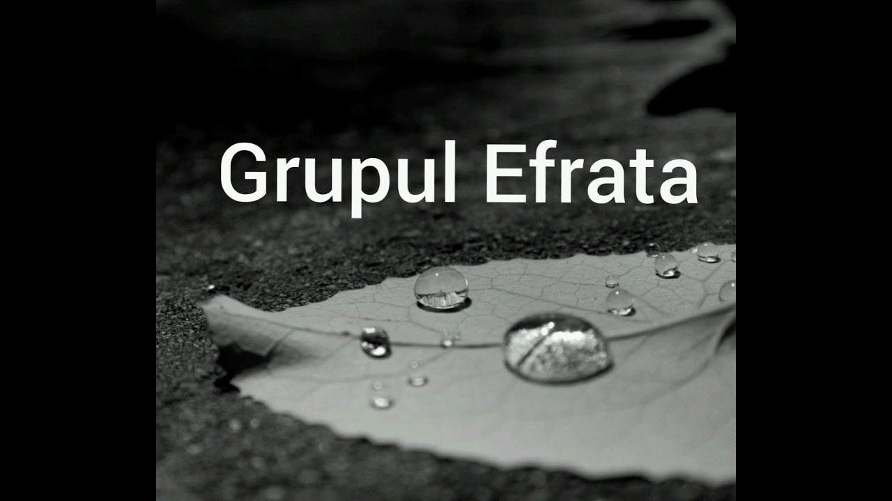Grupul Efrata * De-atata timp tot ura și războaie
