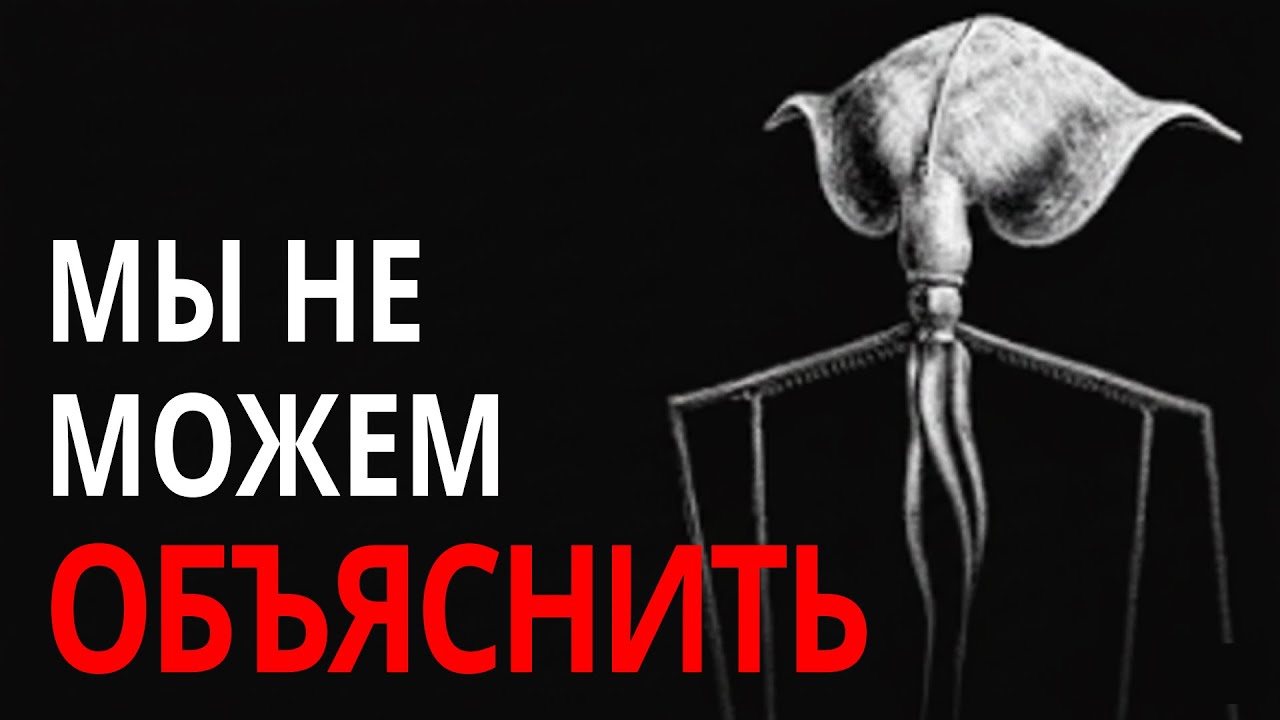 В Марианской впадине нет ничего нормального... Вот почему.