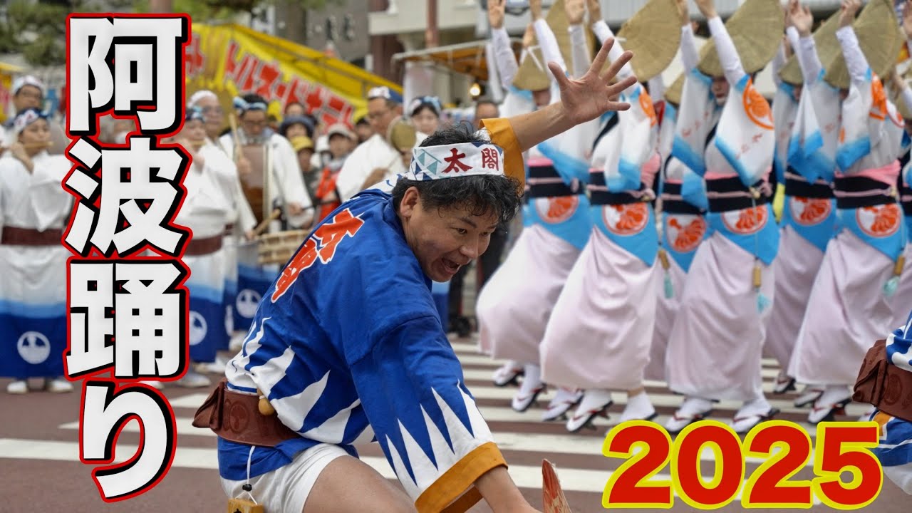 【阿波踊り 太閤連】2025 太閤まつり 圧巻の踊りで観客もノリノリ大盛りあがり‼️