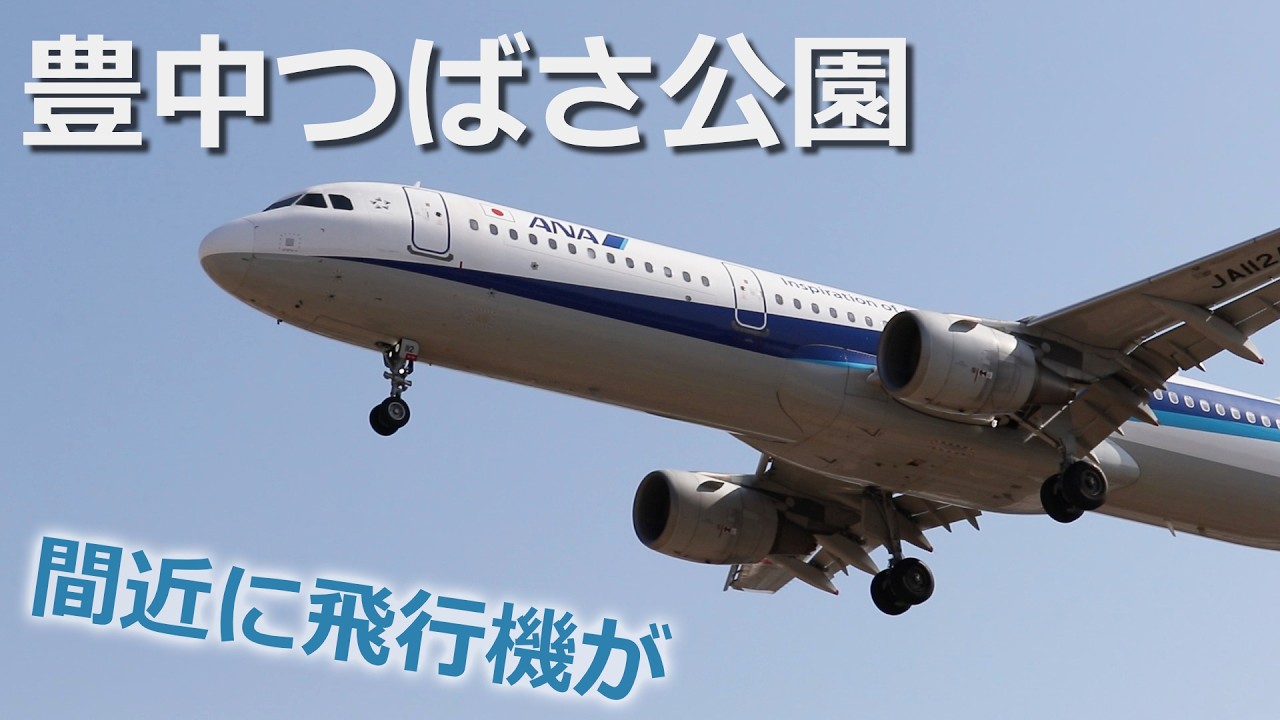 【豊中つばさ公園】横から着陸シーンを撮影できるスポット