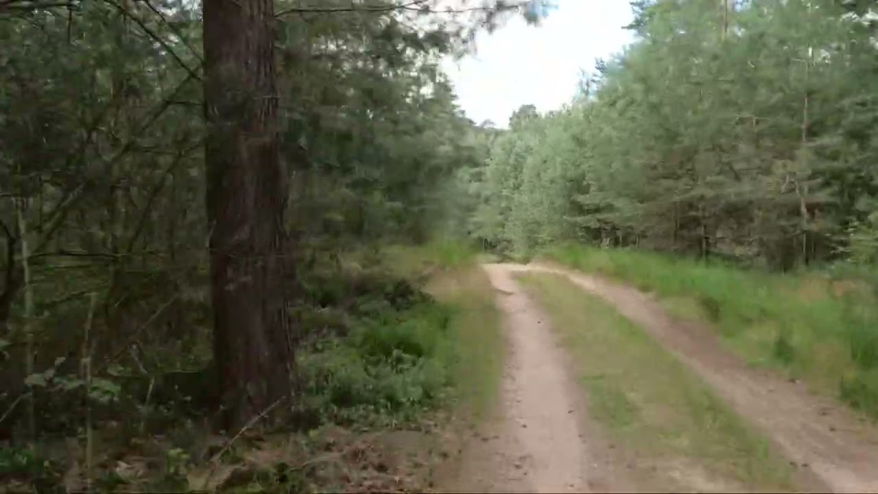 Kroondomein ‘t Loo MTB