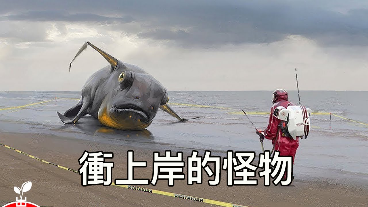 海邊發現15件最奇怪的東西，海嘯之後被衝到岸邊 【出類拔萃】