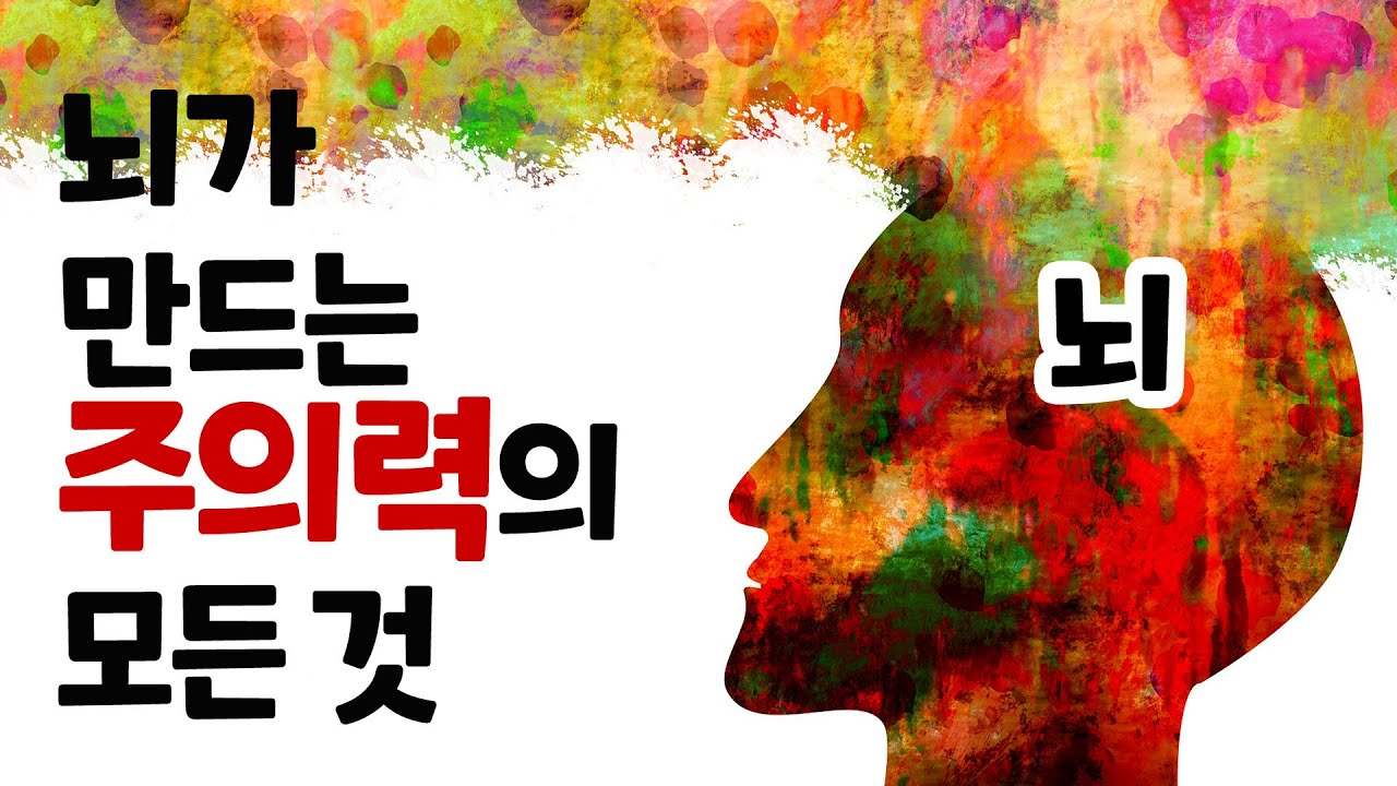 뇌가 ‘주의’를 작동하는 방식  [인지심리학] 존 폴 민다