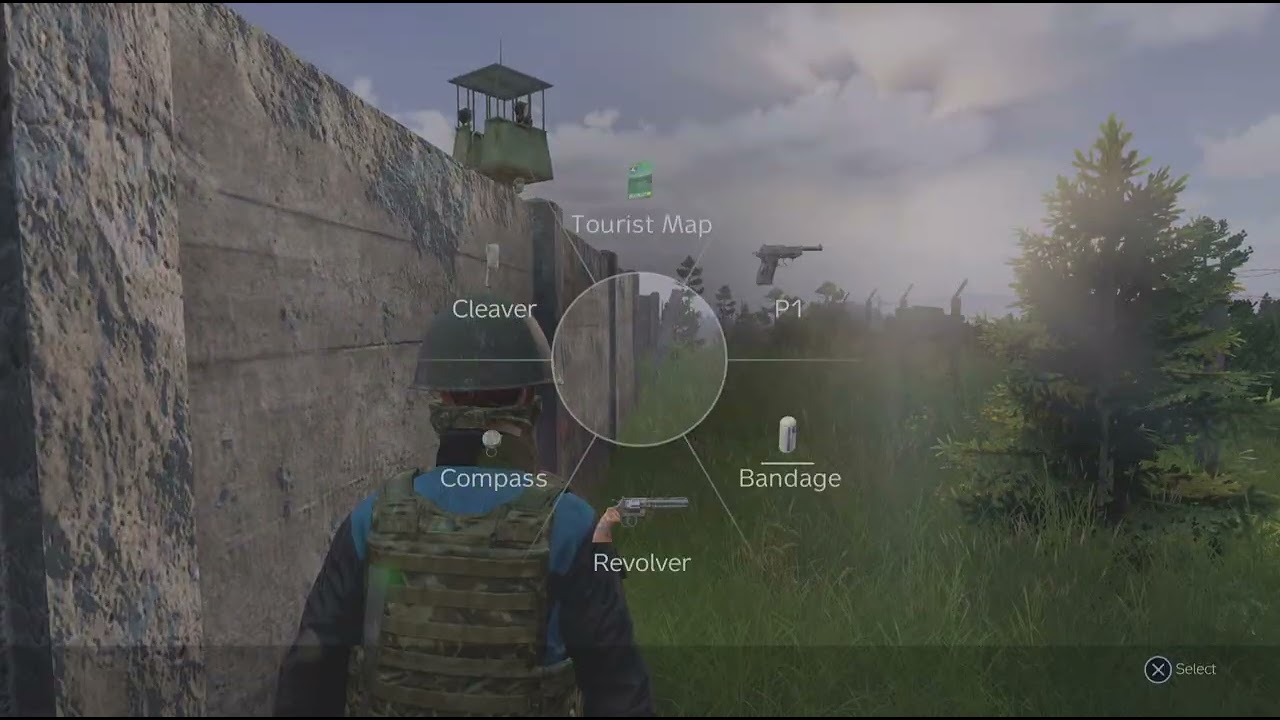 DayZ revolver gun kill