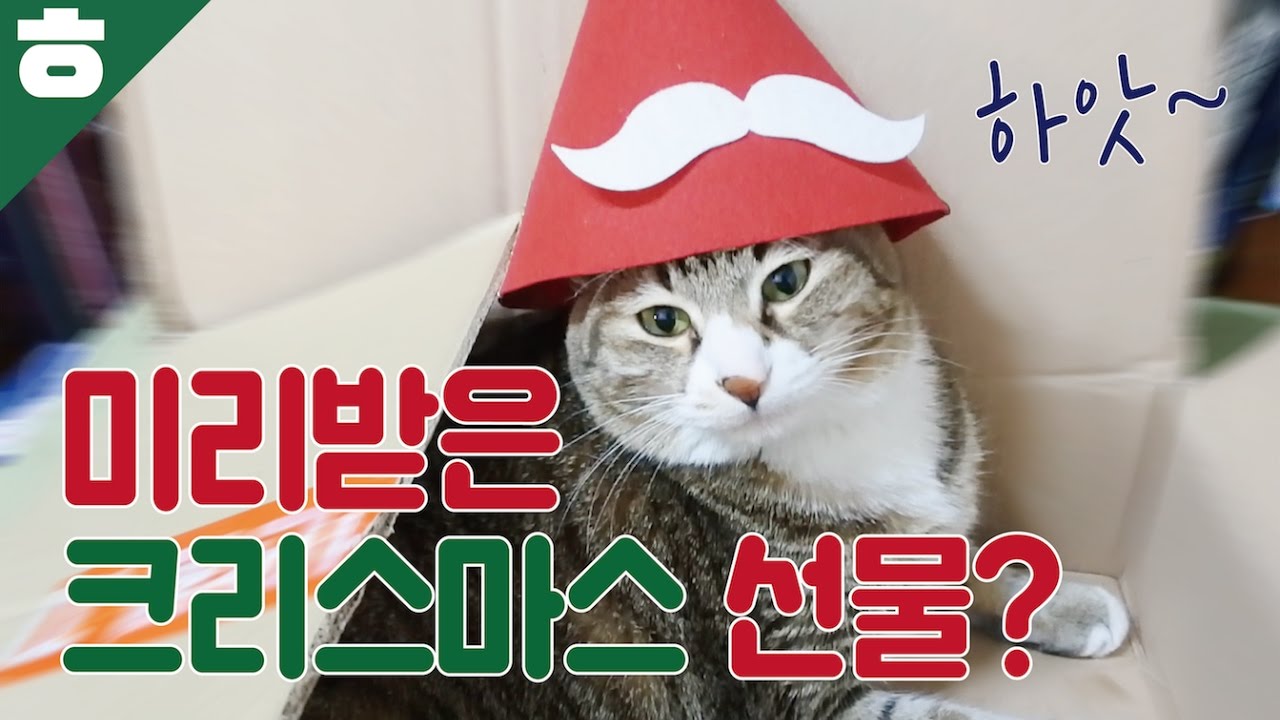 행복한 크리스마스가 될거같은 선물개봉기 17탄! [햄튜브]