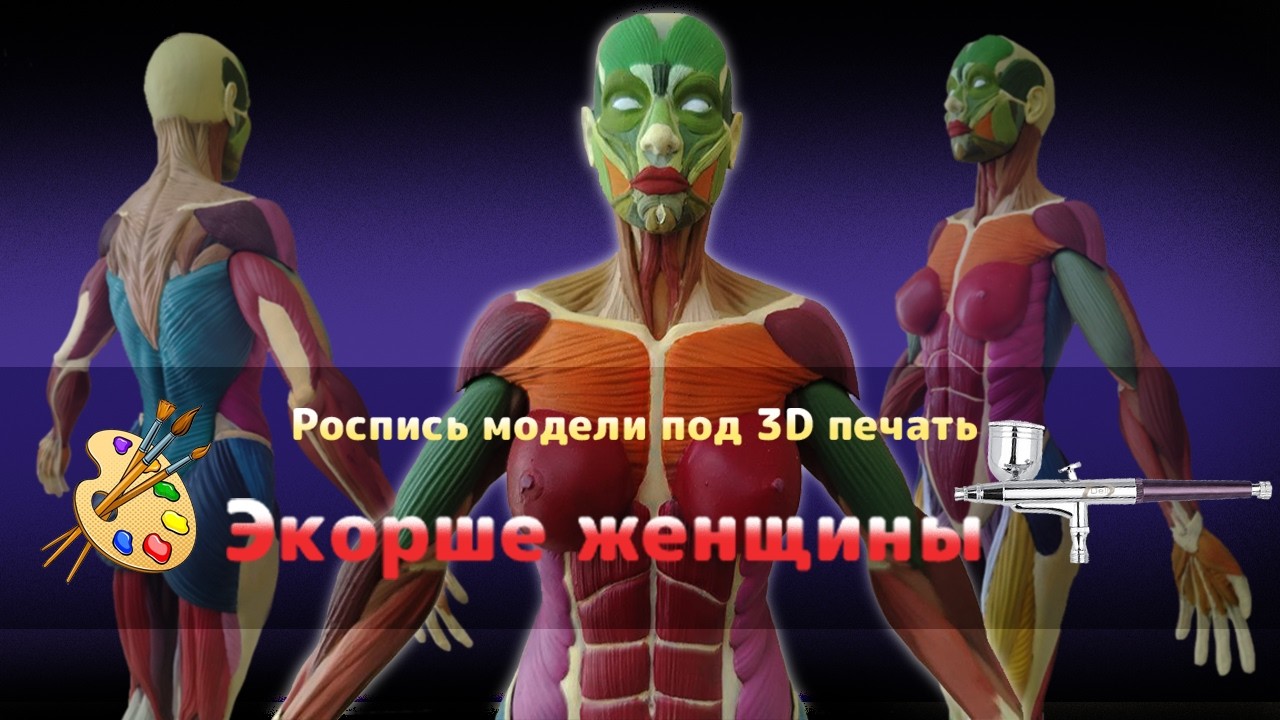 Роспись Экорше женщины.Фигурка после 3d печати