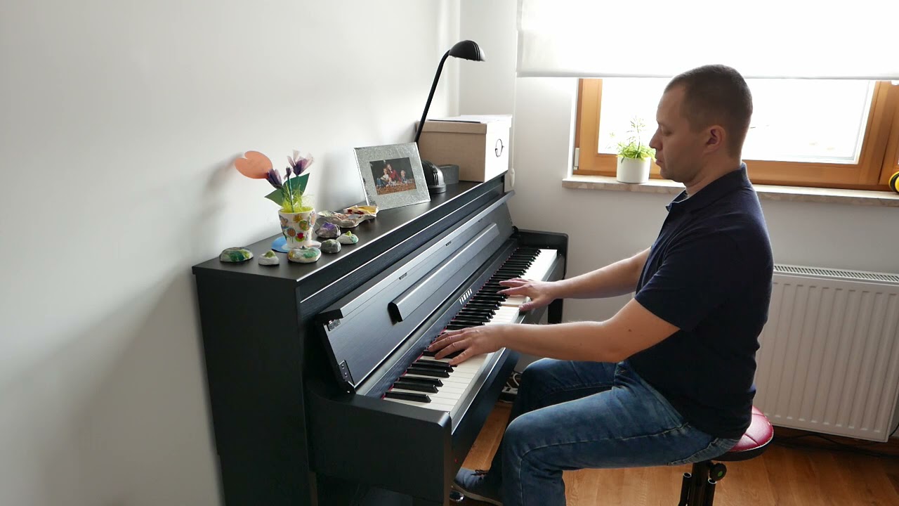 Ludovico Einaudi - Fly (piano cover)
