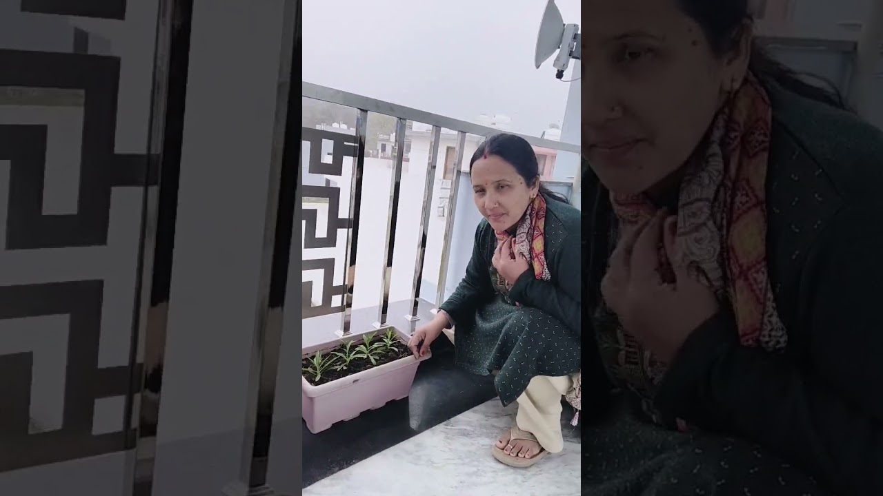 #VLOG 2 Today's Weather in dehradun