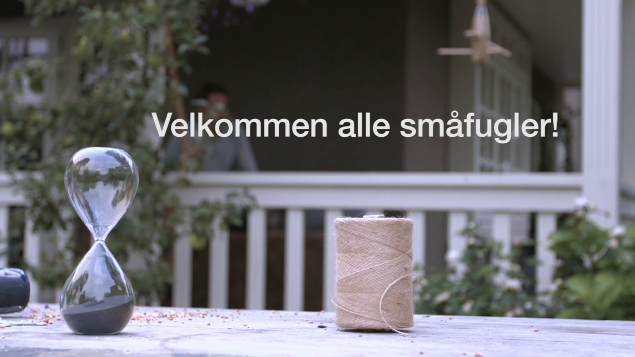 Hagetips &ndash; Mat sm&aring;fuglene!