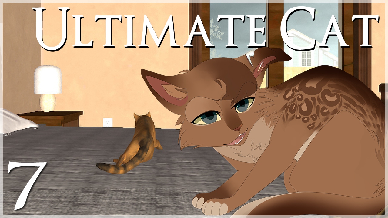 Бродячие кошки прячутся в спальне • Ultimate Cat Simulator — Эпизод №7
