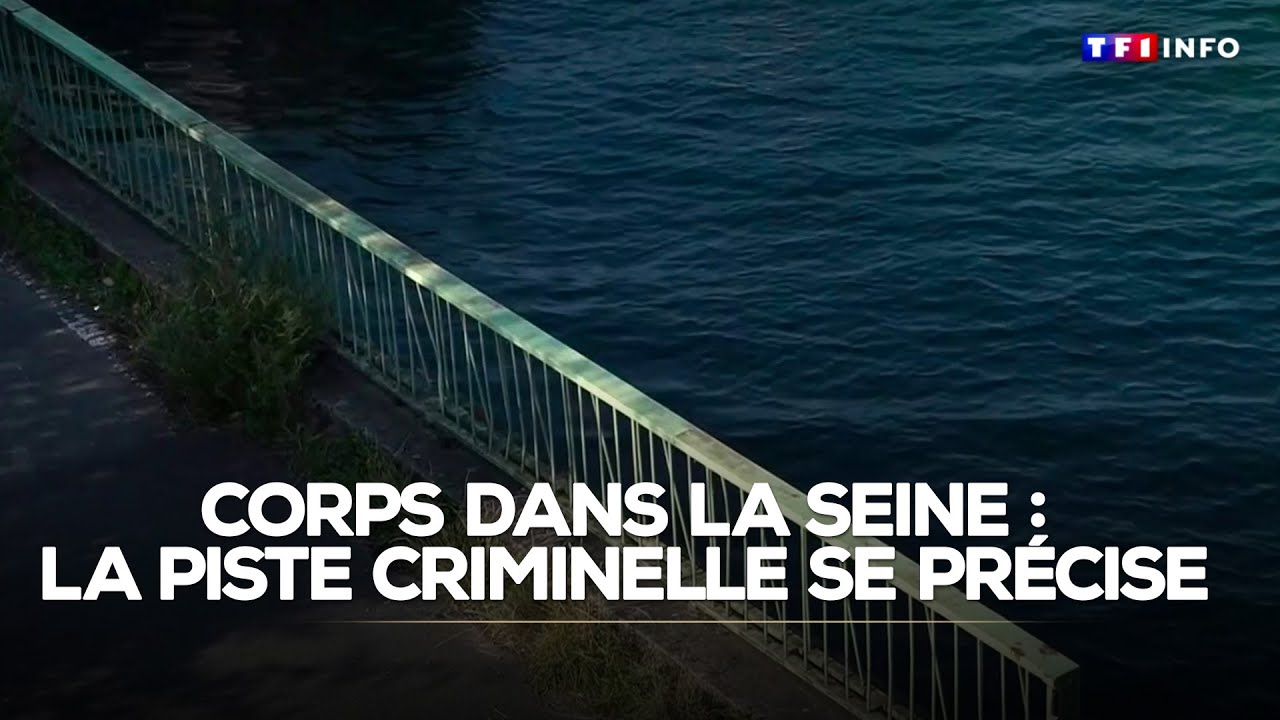 Corps retrouv&eacute;s dans la Seine : une deuxi&egrave;me enqu&ecirc;te pour homicide ouverte｜TF1 INFO