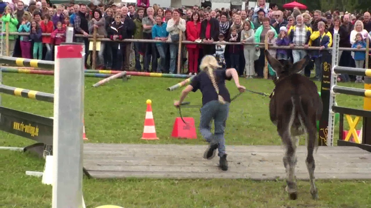 Eseltreffen in Wolfegg 2015