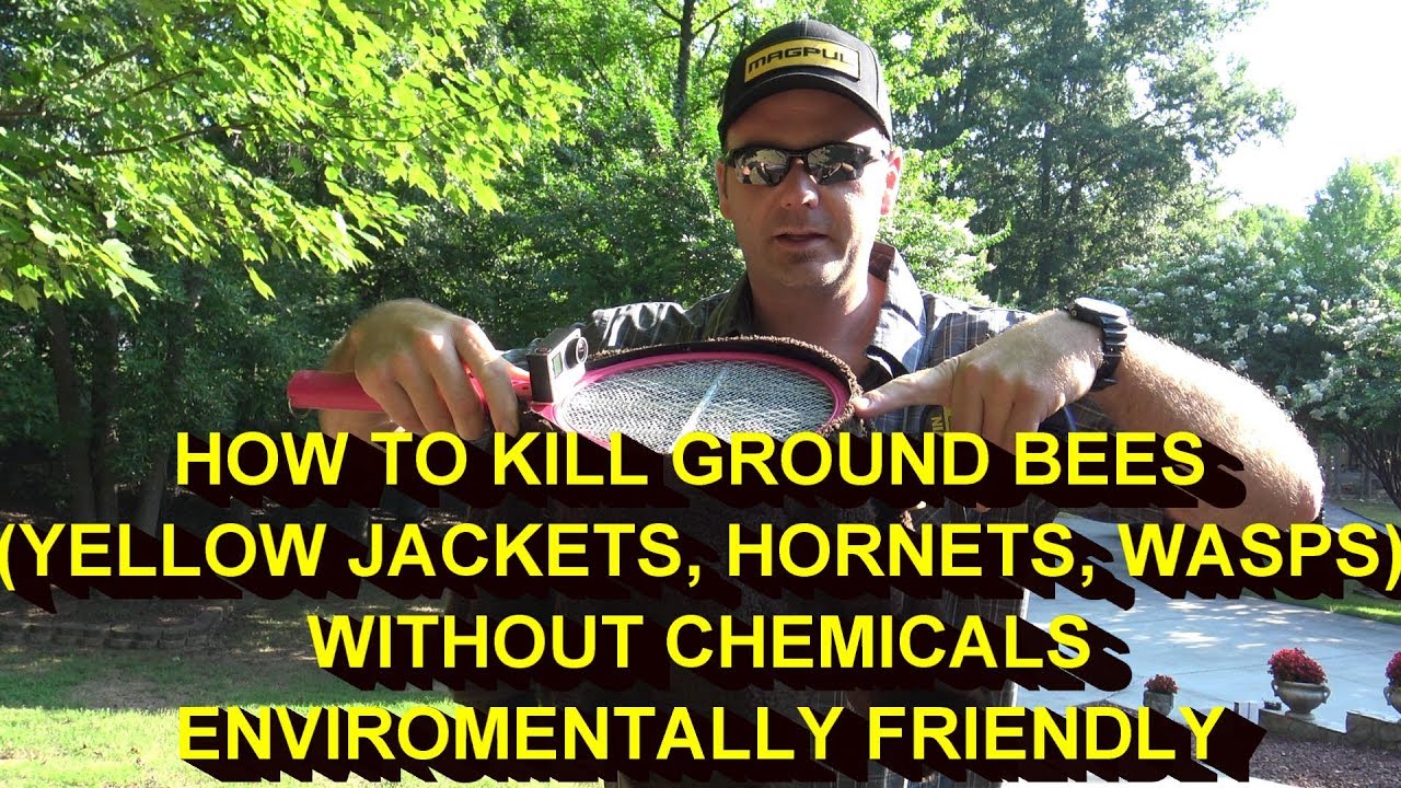 KILL YELLOW JACKETS NEST (ground bees)WITHOUT POISON OR CHEMICALS...IT ACTUALLY WORKS!