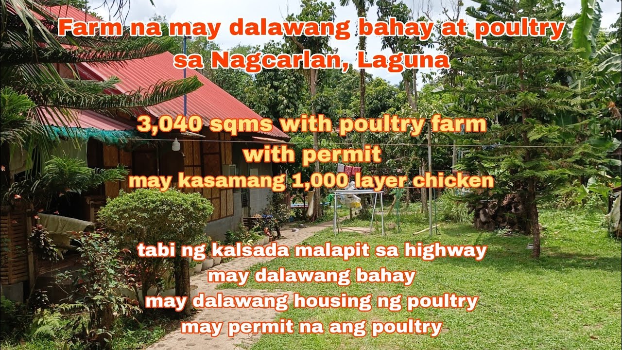 (P# 754) 3,040 sqms Property with 2 houses and Poultry @ 10M price in Nagcarlan, Laguna for sale