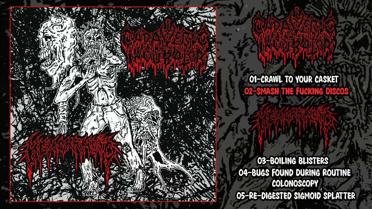Cadaveric Incubator / Hemorrhoid FULL SPLIT EP 7