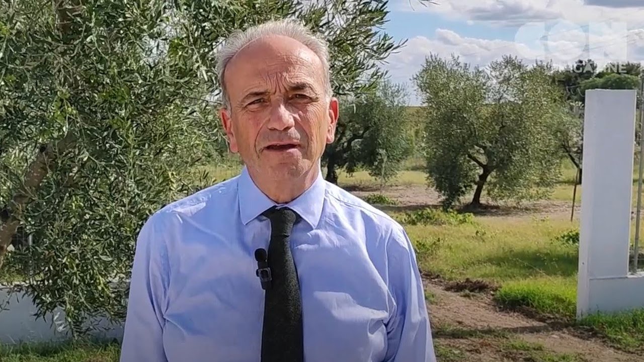 Bando Terre Colte, per recuperare o valorizzare terreni incolti e abbandonati