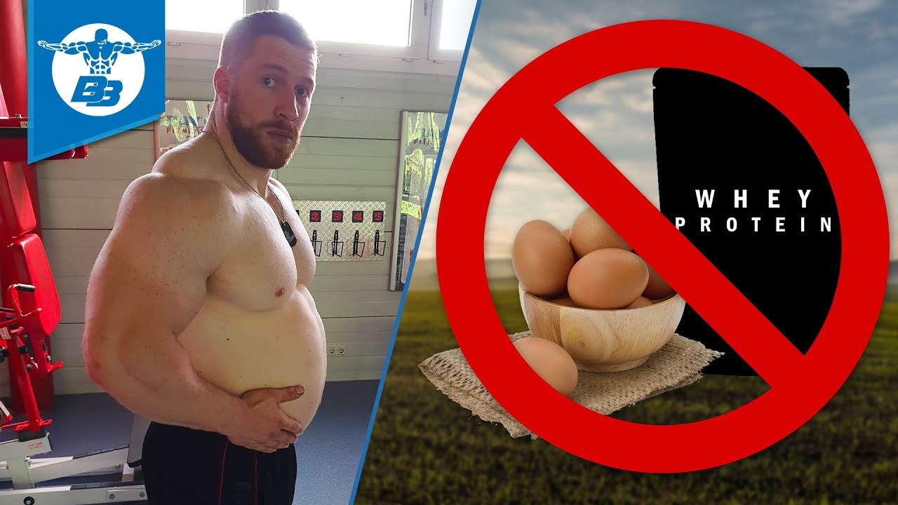 Unvertr&auml;glichkeit gegen Milchprotein & H&uuml;hnerei I So geht es weiter!