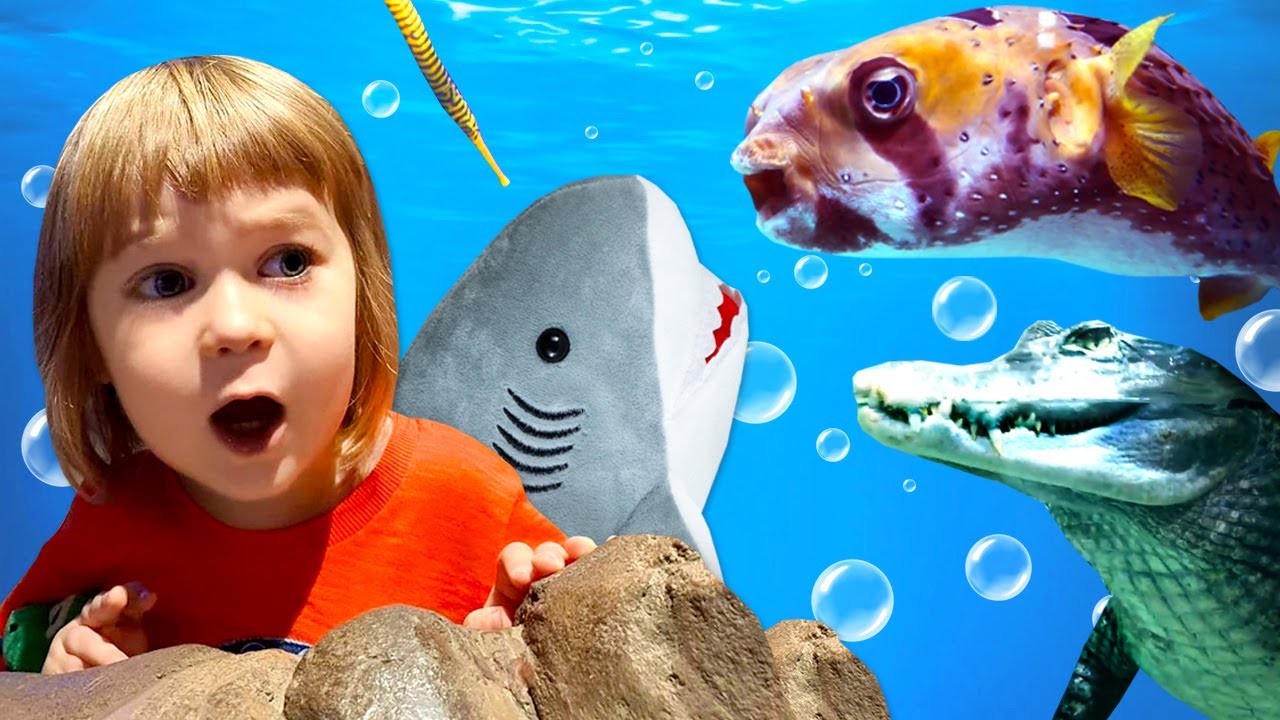 Baby Bianca & baby SHARK learn sea animals at the aquarium - Videos for kids with toys.