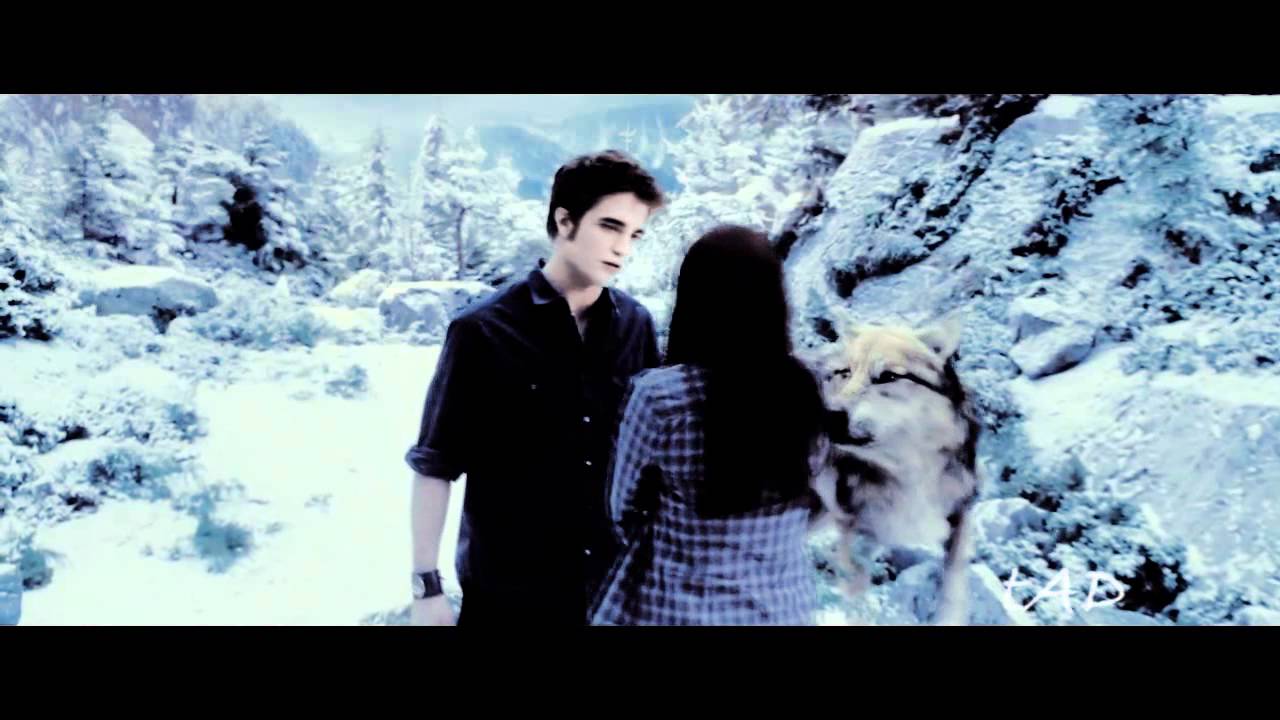 Edward & Bella - A Nova Vida