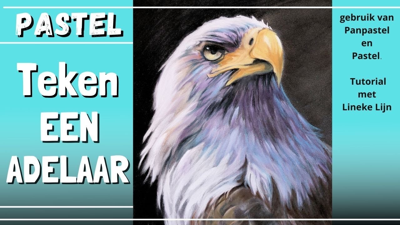 Hoe teken je een Adelaar in Pastel en Panpastel