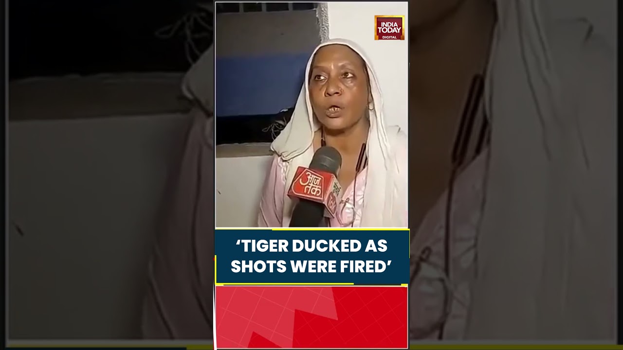 Tiger Shroff Firing: Eyewitness Says Actor Ducking As Shots Were Fired #tigershroff #bollywood