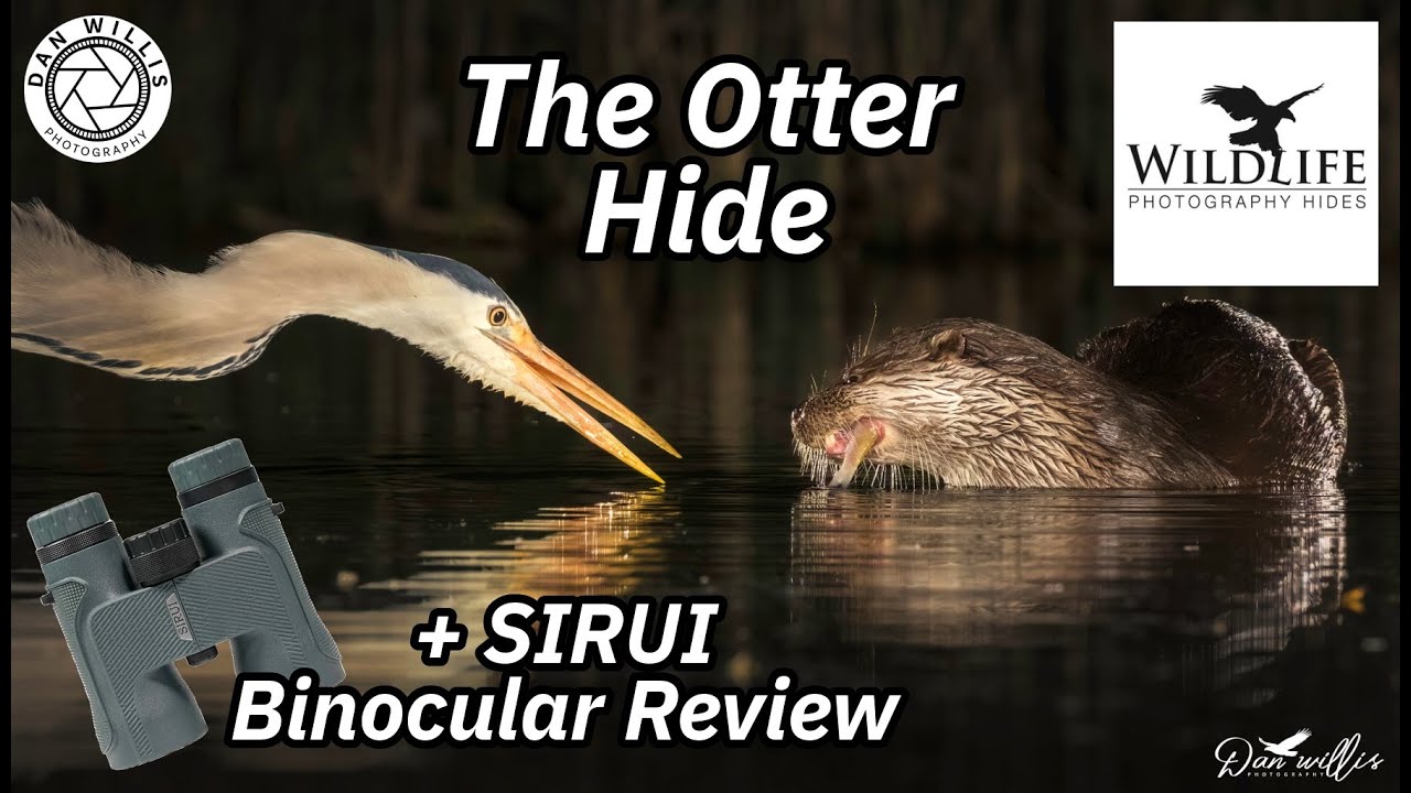 Wildlife Photography Hides UK - Part 2 - The Otter Hide