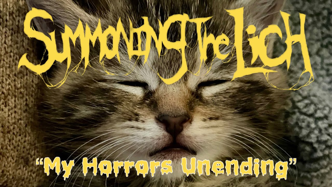 Summoning The Lich - “My Horrors Unending” Guitar Cover.