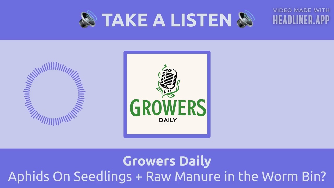 Aphids On Seedlings + Raw Manure in the Worm Bin? | Growers Daily