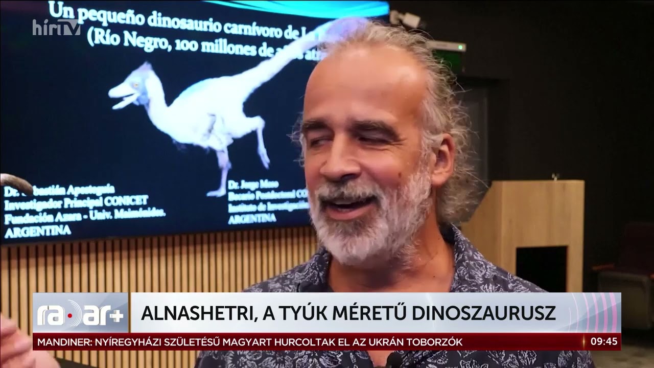 Gondolta volna? - Egy dinó tyúk méretű is lehet - HírTV