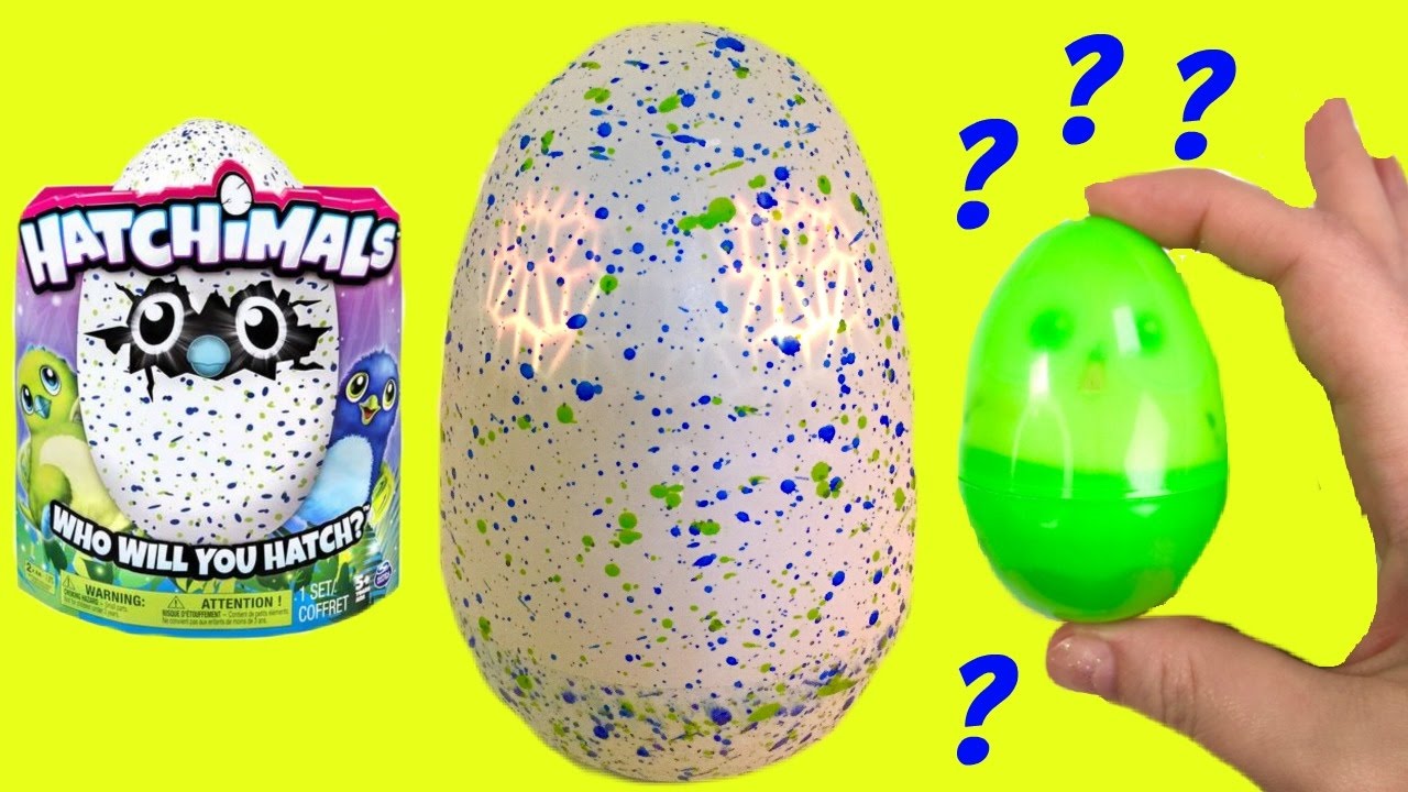HATCHIMALS - What Magical Surprise Animal Did We Get?