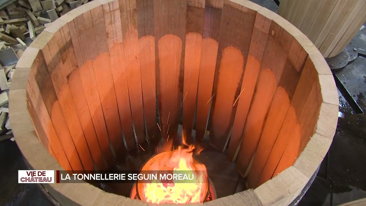 Vie de château Seguin Moreau Original