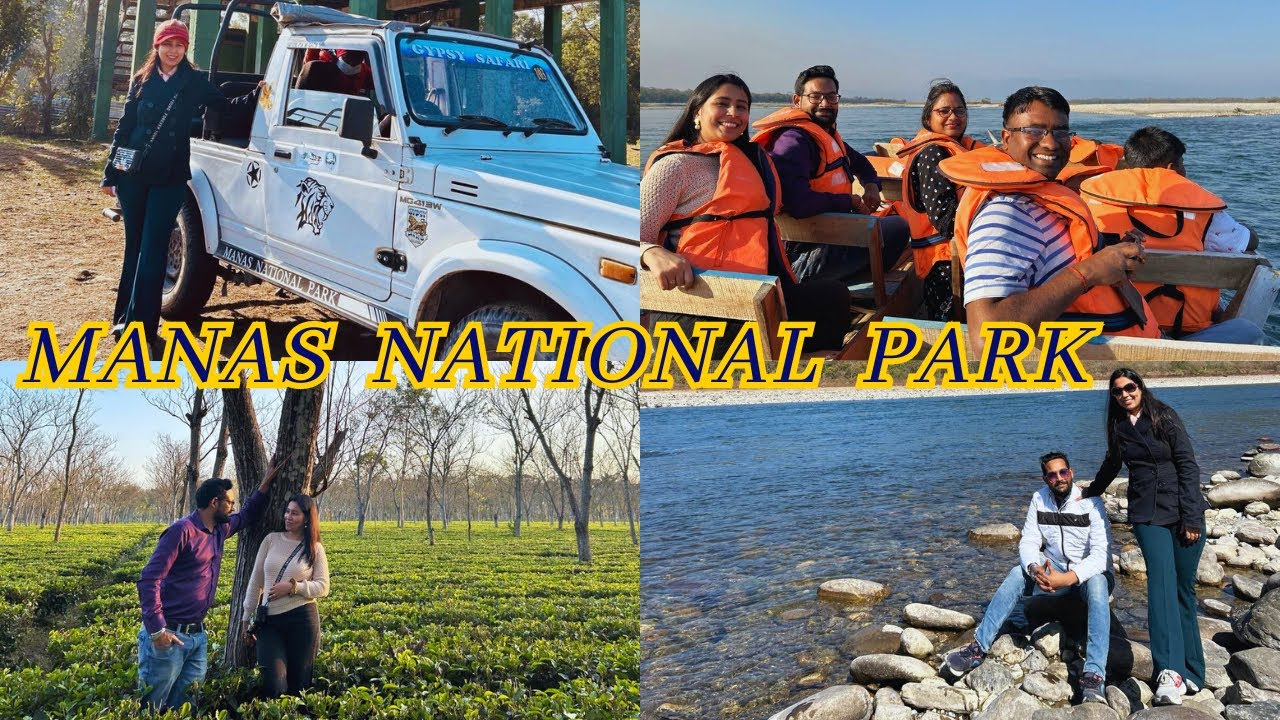 MANAS NATIONAL PARK | Complete Travel Guide | ASSAM | Wildlife Safari | Assam Tourist Place #manas