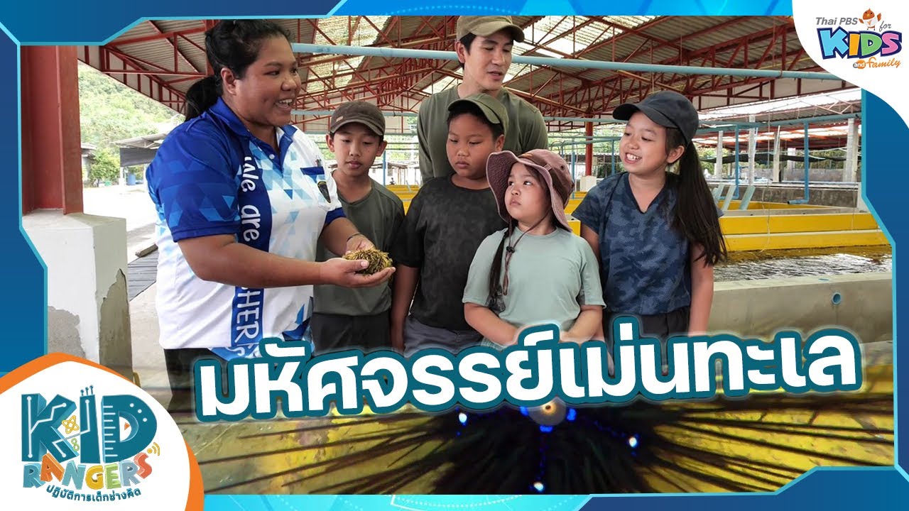 มหัศจรรย์เม่นทะเล | Kid Rangers ปฏิบัติการเด็กช่างคิด