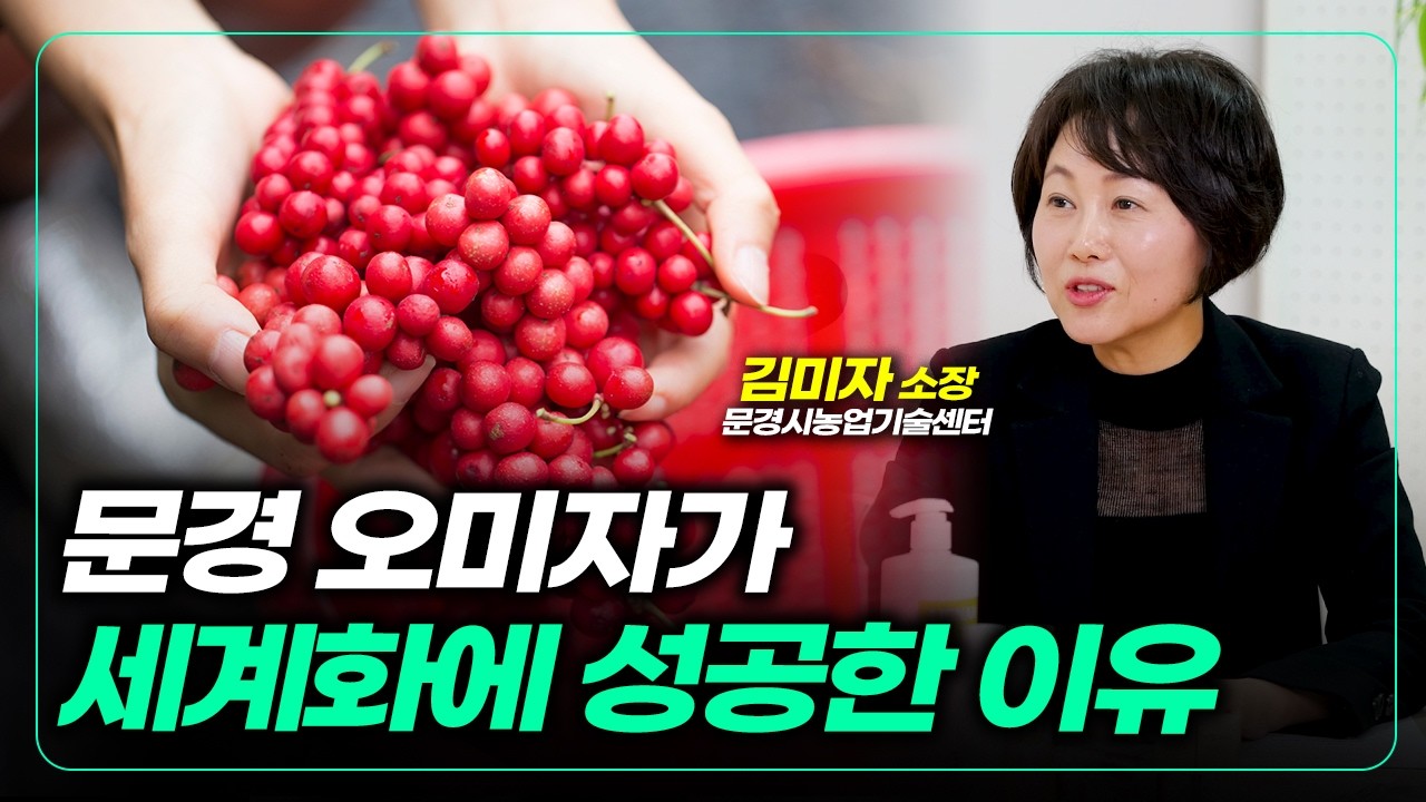단순 재배는 이제 끝났습니다. 농산물로 돈 버는 '진짜' 방법 (오미자 산업화 분석) [농사를 짓다]