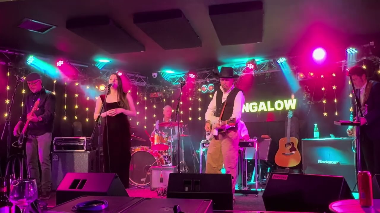 King Of Birds   Christmas song 