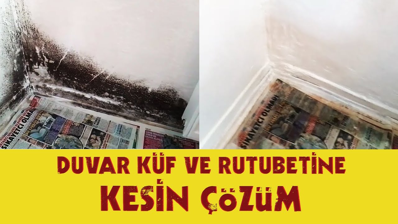 DUVAR RUTUBETİ ve DUVAR KÜF'Ü NASIL GİDERİLİR? NASIL ÖNLENİR?