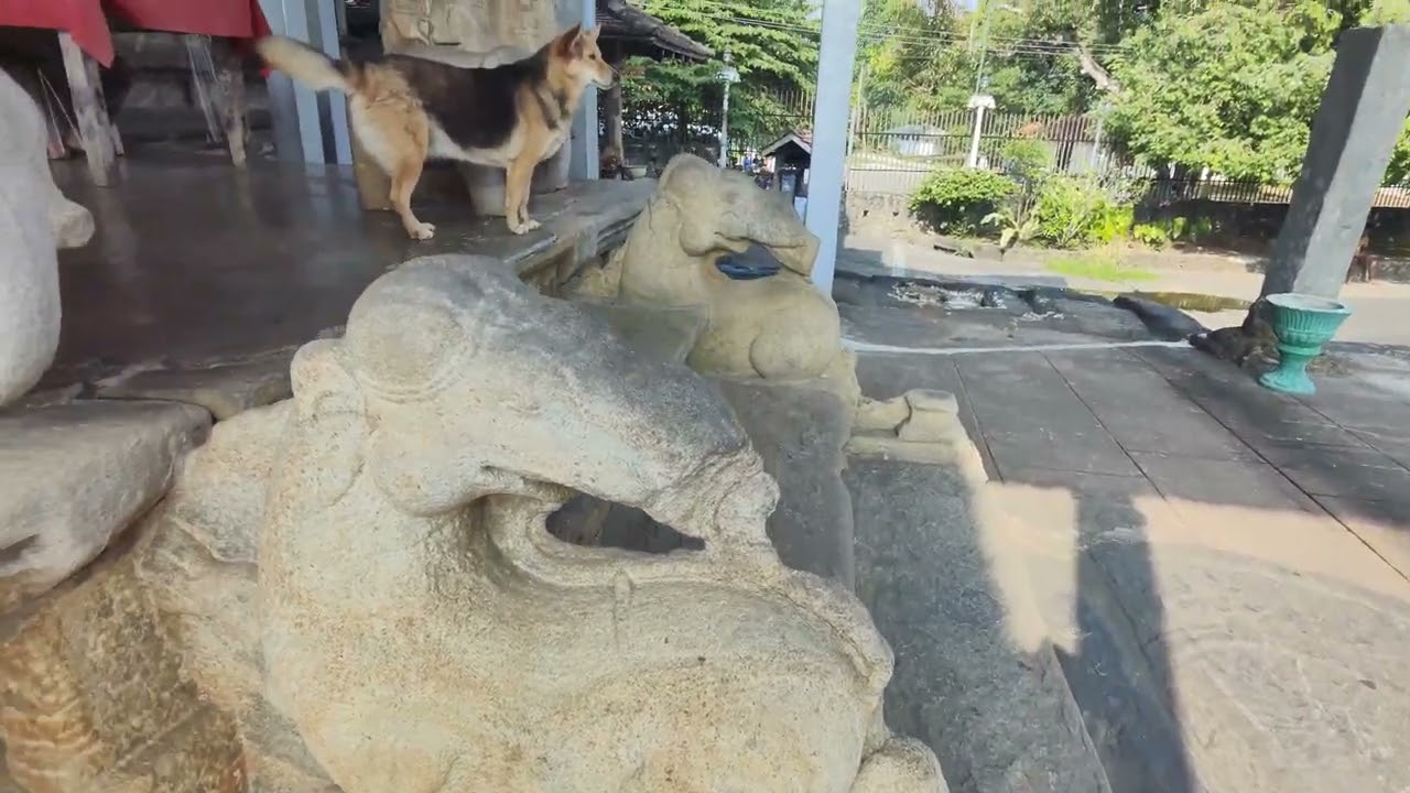 Les temples sur les hauteurs de Kandy, dont une visite au coeur sacré et secret du temple Hindouiste