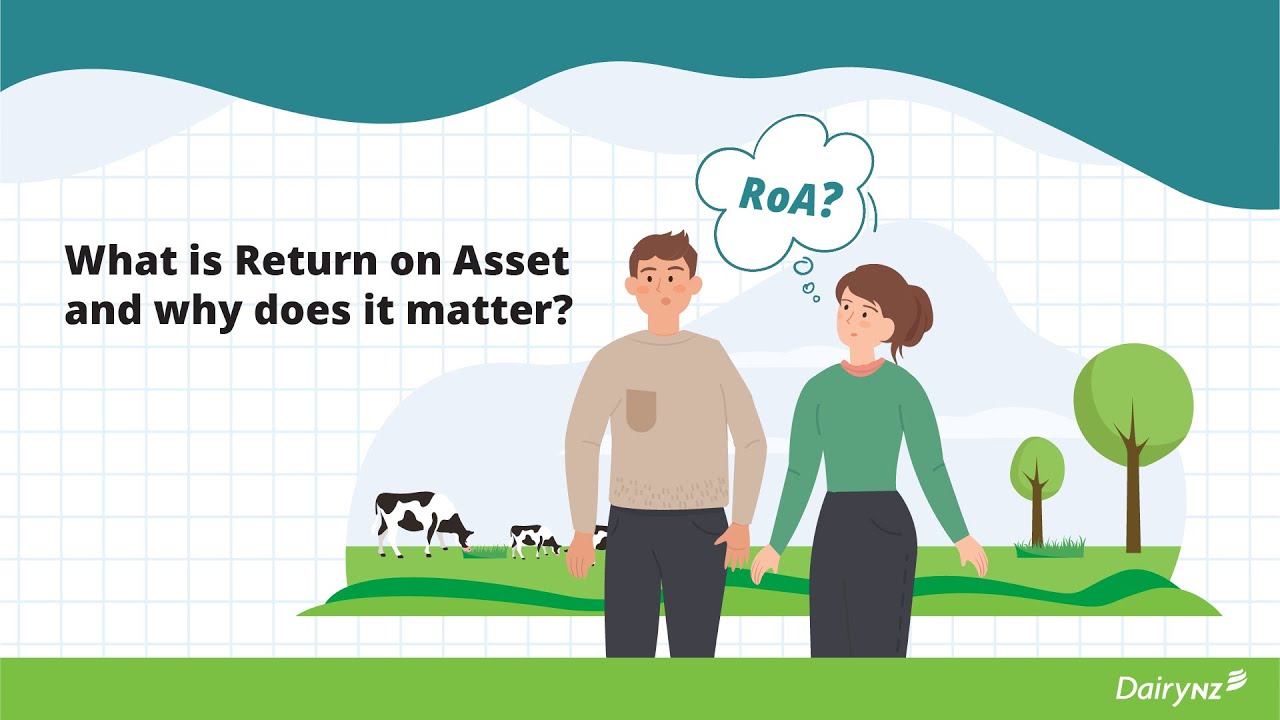 What is Return on Asset (RoA) and why does it matter?