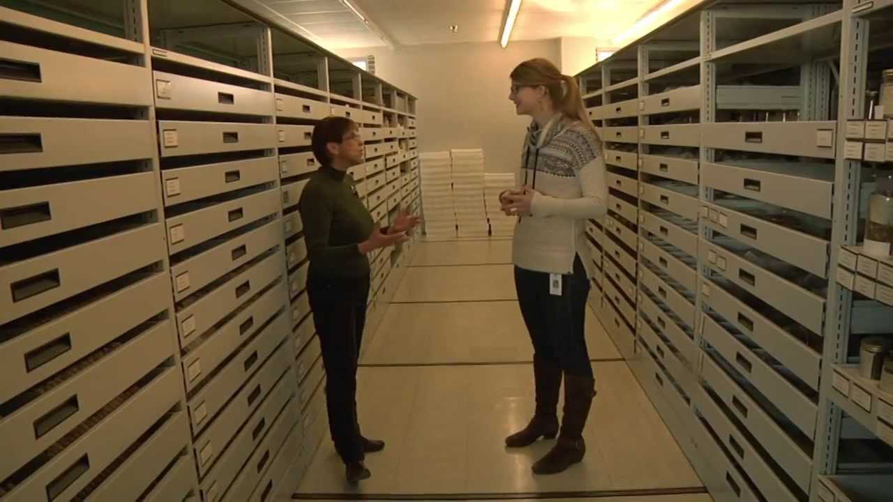 The Economic Botanical Collection