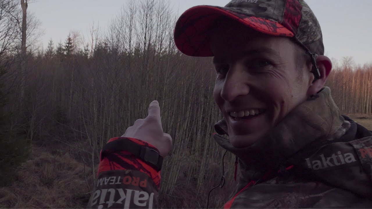 Drivjakt i Sverige med Jaktia Pro Team