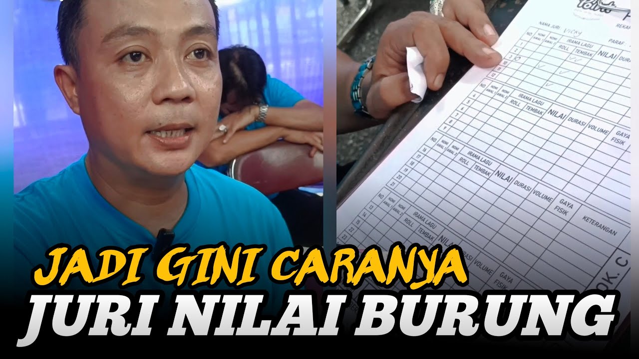 Cara Juri Menilai Burung ‼️ by Vicky Juri Gagak Sakti