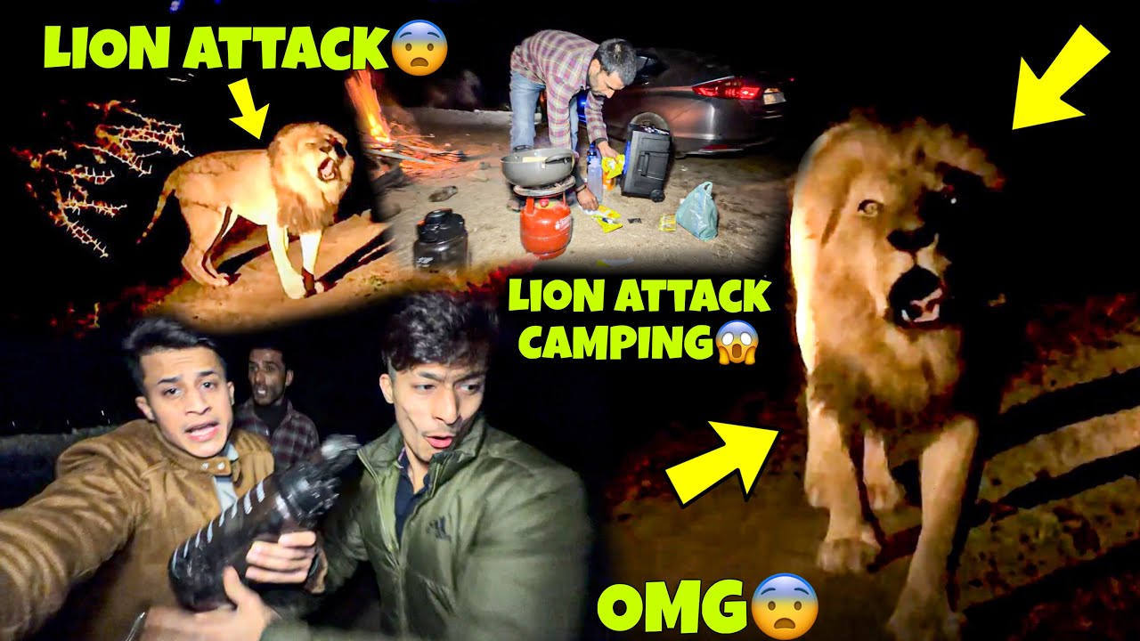 Lion Spotted😱 Late Night Camping in Dark Jungle | Live Captured @aalyanvlogs1299  My Family vlogs 