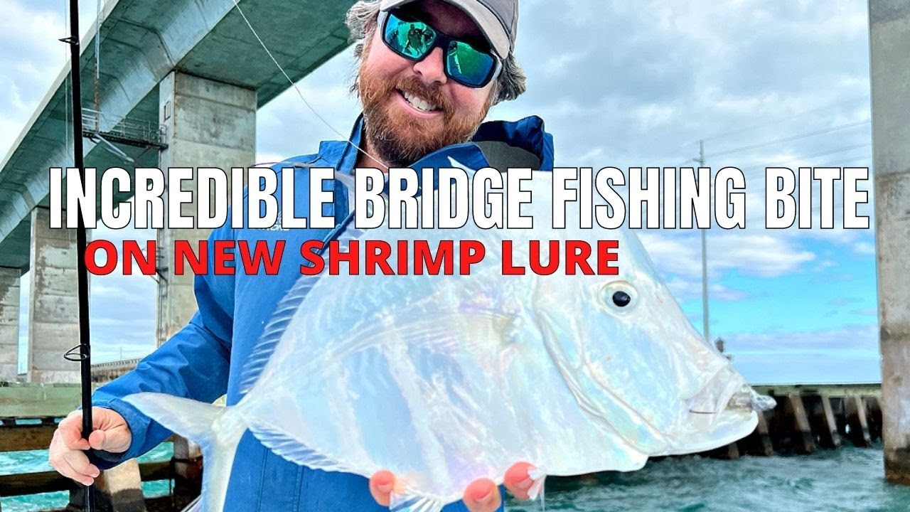 Unbelievable Bridge Fishing Results With New Shrimp Lure!