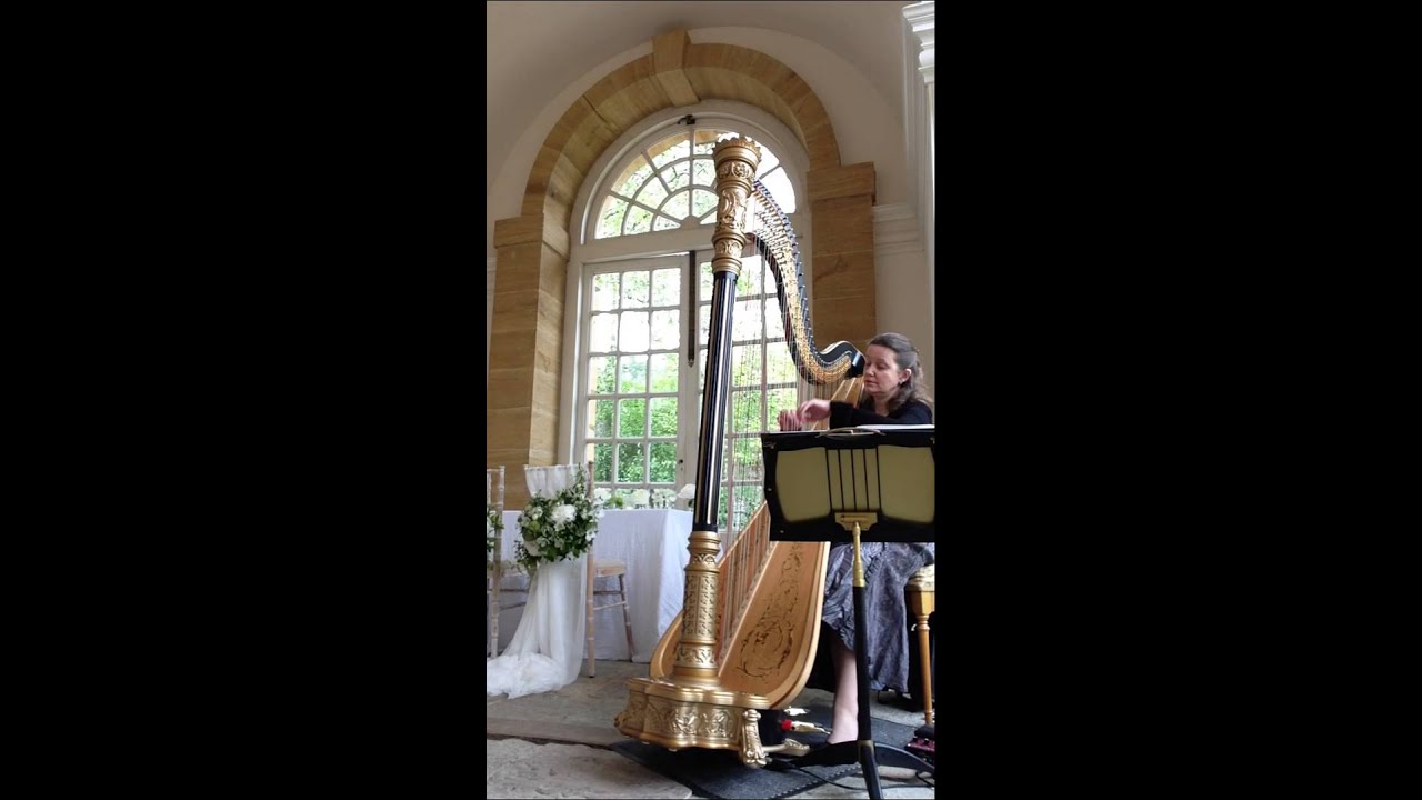 Devon based wedding harpist - Make you feel My Love
