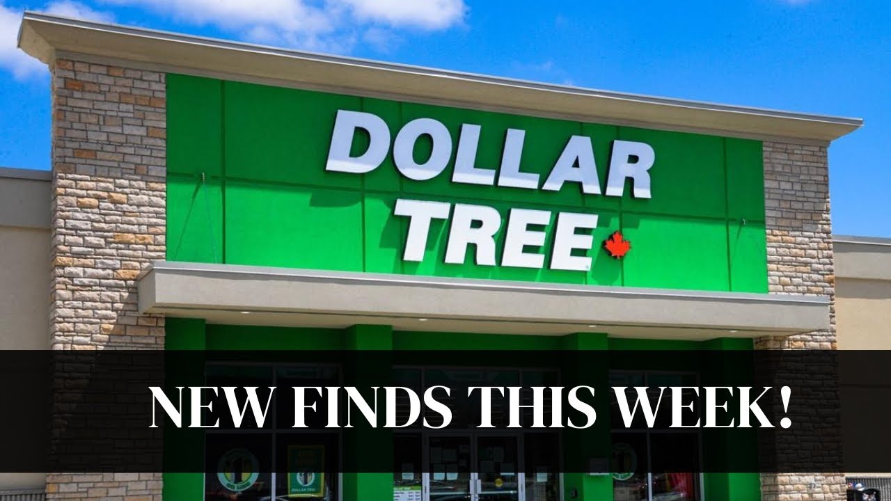 DOLLAR TREE NEW FINDS THIS WEEK