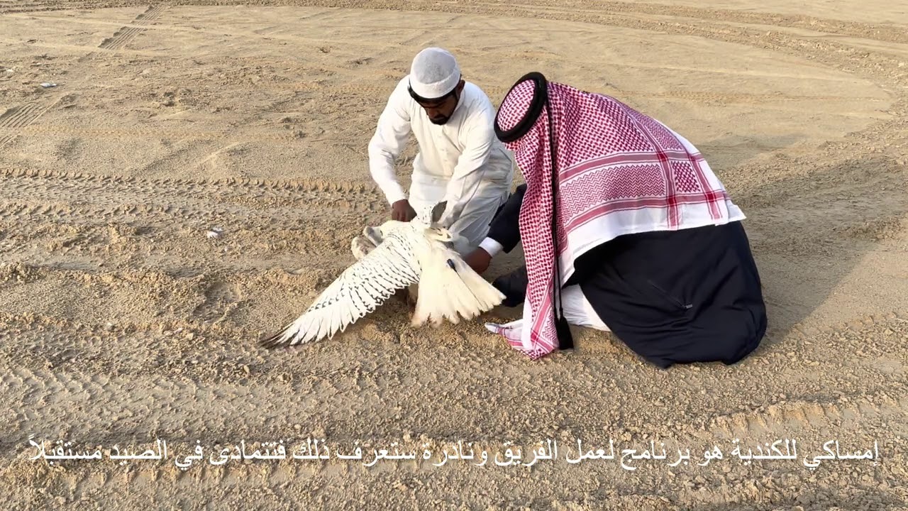 (   نَادْرَةْ الرَاكْدَةْ  ٢٥  )