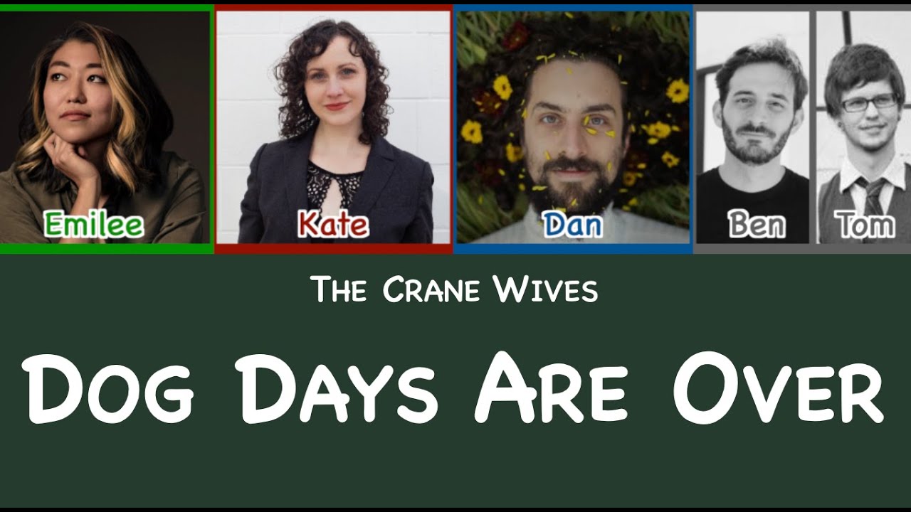 The Crane Wives - Dog Days Are Over (Cover) [unofficial color-coded lyric video]