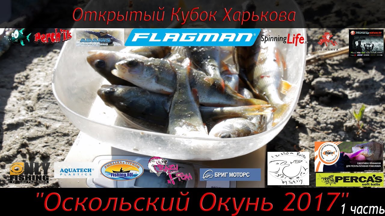 FLAGMAN. Открытый Кубок Харькова 